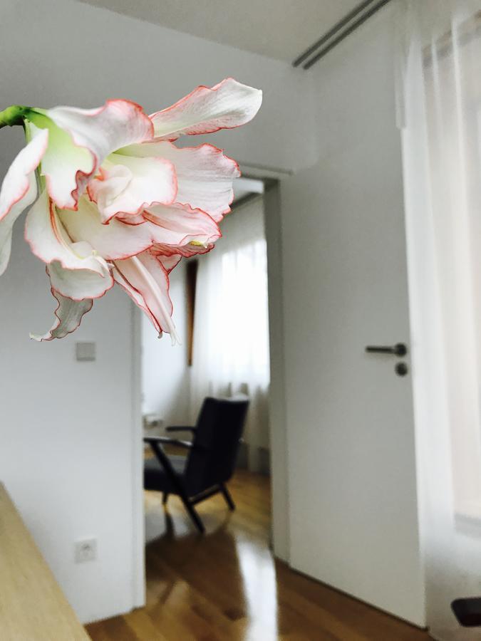 Design Apartment In Park Sofia Eksteriør bilde